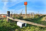 26-11-2022 Breda - In natuurgebied de Vierde Bergboezem is op nog geen meter afstand van het bordje van Staatsbosbeheer, waarop staat Kwetsbaar gebied, een magnetron van het merk OK gedumpt. - Fotokrant