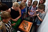 18-06-2025 Breda - Kinderen kijken in de Grote Kerk naar de gemummificeerde kat van 600 jaar oud. De kat heeft ingemetseld gezeten in de Grote Kerk en is ontdekt in 1906.  - Fotokrant