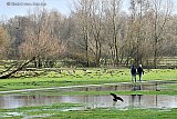 29-01-2021 Breda -  De vele regen van de afgelopen dagen zorgt ervoor dat het drassig is in Het Markdal. De pad is nog droog dus er kan wel gewandeld worden. - Fotokrant
