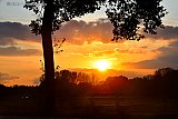 09-11-2019 Ulvenhout  -De prachtige zonsondergang in Het Markdal licht een bankje uit. - Fotokrant