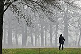 13-02-2025 Breda - Aan het einde van de dag komt er in het buitengebied ten noorden van de stad mist opzetten.  - Fotokrant
