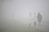 08-03-2026 Breda - Aan de rand van de stad hangt na zonsopkomst zeer dichte mist. - Fotokrant