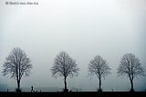 18-01-2019 Ulvenhout - Fanatieke sporter in de ijskoude avondmist nabij Het Markdal. - Fotokrant