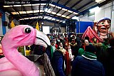 12-01-2020 Breda - Flamingo liefhebbers kunnen uitkijken naar deze flamingo die In de Grote Optocht van t Kielegat te zien zal zijn. - Fotokrant