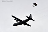 26-03-2025 Breda - Een C 130 die bezig is met de militaire oefening Orange Bull vliegt over de stad en schrikt een duif op.  - Fotokrant