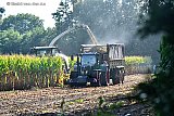 18-09-2023 Breda - Boeren zijn in het buitengebied van de stad de hele dag druk met het oogsten van mais. - Fotokrant