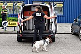 13-07-2021 Breda -  Tijdens het uitgebreide onderzoek werden verschillende speciale honden ingezet. 2 Boxen zijn door de Douane verzegeld omdat er vermoedens zijn van opslag van tabaks gerelateerde artikelen. - Fotokrant