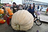 19-09-2026 Breda - De winnende pompoen woog 847,5 kilo en bleek van een Belg uit Kasterlee te zijn. Door het natte voorjaar was het gewicht minder dan vorig jaar. - Fotokrant