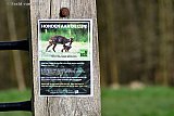 08-03-2024  Breda - Nadat er de afgelopen tijd meerdere dode reeen zijn gevonden, hangen er nu posters met het verzoek honden aan de lijn te houden in het buitengebied van de Haagse Beemden. - Fotokrant