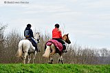 30-01-2021 Breda - Steeds meer mensen zoeken iets om in het weekend te doen. Deze dames gingen op 1,5 meter van elkaar paardrijden in het buitengebied van Breda.  - Fotokrant