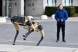 11-03-2021 Breda - Van allerlei bewegingen werden met de robothond die op afstand wordt bediend uitgetest. Hier klimt de robothond redelijk snel de trappen weer op. - Fotokrant