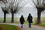 27-11-2023  Breda -  Het regent vrijwel onafgebroken vanaf vannacht. Mensen die willen gaan wandelen doen dat in de regen. - Fotokrant