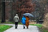 28-12-2021  Breda - Het koude winterweer maakt plaats voor herfstachtig weer met regen en hogere temperaturen. Mensen maken een ommetje in de regen om toch wat in beweging te blijven nu sportscholen nog steeds dicht zijn. - Fotokrant