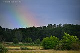 09-06-2026 Breda - Boven het Haagse Beemden bos was korte tijd een regenboog te zien.  - Fotokrant