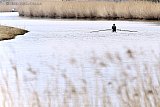04-03-2020 Breda- Door de vele regen staat rivier De Mark hoog. Deze roeier roeit ineens op een veel bredere rivier. - Fotokrant