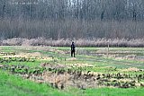 20-01-2021 Breda - Afstand en ruimte zijn sleutelwoorden aan het worden tijdens de coronacrisis. Beide zijn rondom de stad te vinden.  - Fotokrant
