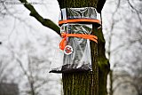 02-03-2020 Breda-  De gemeente heeft als proef rupsvallen opgehangen in de strijd tegen de eikenprocessierups. - Fotokrant
