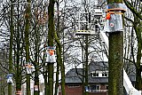 02-03-2020 Breda-  Op een perceel met eikenbomen word de proef gehouden. De bedoeling is dat als de rupsen  naar beneden kruipen ze via een bak door een slang in een plastic zak belanden.  Hierna kan de zak verbrand worden bij een vuilverbrander. - Fotokrant