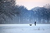 05-01-2026 Breda- Na zonsondergang werd de koude lucht zichtbaar. - Fotokrant
