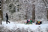 05-01-2026 Breda - Er is een flink pak sneeuw gevallen en dat betekende voor deze man na het werk met sleeen vol kinderen de sneeuw in. - Fotokrant