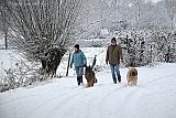 05-01-2026 Breda - De honden uitlaten werd een hele uitdaging in de witte wereld. - Fotokrant