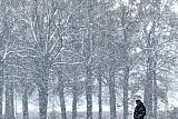 08-03-2023 Breda - De sneeuw die ten noorden van de stad valt zorgt voor een sprookjesachtige sfeer. Hij smelt vrijwel gelijk omdat de grond te warm is. - Fotokrant