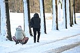 04-01-2026 Breda - Het heeft zoveel gesneeuwd dat boomstammen wit zijn geworden. - Fotokrant