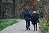03-12-2023 Breda - Er valt sneeuw in Breda. Mensen die de hond aan het uitlaten waren gaan richting huis.  - Fotokrant