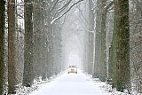 22-01-2019 Breda - Verkeer had in heel het land de grootste moeite met 5cm sneeuw. - Fotokrant
