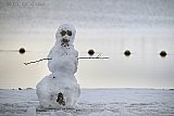 03-01-2026 Breda - De sneeuw heeft tot inspiratie geleid. Een wel erg lullige sneeuwpop is er gemaakt.  - Fotokrant