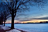 20-01-2024 Ulvenhout - Er ligt nog  flink wat sneeuw op de weilanden aan de rand van het kerkdorp. Als de avond valt is het opnieuw koud en gaat het weer vriezen.  - Fotokrant