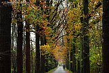 30-11-2021 Breda - Het regent heel de dag en omdat na 17:00 uur de sportscholen ook dicht moeten zijn zit er voor mensen die overdag moeten werken niks anders op dan na 17:00 uur buiten te sporten. - Fotokrant