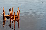 03-01-2023 Breda - In natuurgebied De Vierde Bergboezem zijn 4 eetkamerstoelen in het water gedumpt. - Fotokrant