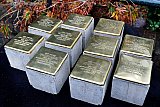 07-11-2022 Breda - In de wijk Belcrum zijn uit eerbetoon aan omgebrachte voormalige inwoners 10 stolpersteine gelegd. - Fotokrant
