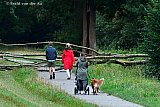 26-08-2020 Breda - Storm Francis heeft de hele dag gewoed. In en rond de stad zijn diverse bomen omgeblazen.De temperatuur is flink gezakt en ook kon de jas weer aan. - Fotokrant