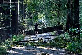 STORMSCHADE  - Fotokrant
