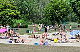 02-06-2019 Breda - 200 badgasten op het strand aan de Asterdplas vonden de 300 grauwe ganzen die het strand al weken bezetten toch te veel en de ganzen vertrokken. - Fotokrant