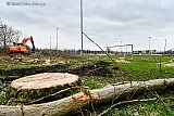 LENTE KROKUSSSEN - Fotokrant