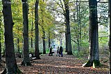 09-10-2020 Ulvenhout -Terwijl het in Het Mastbos file lopen is is er volop ruimte en rust om te wandelen in het Ulvenhoutse bos.
 - Fotokrant