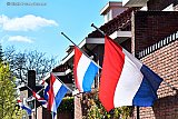 03-04-2020 Breda - Het Coronavirus grijpt flink om zich heen in de stad. Verschillende mensen zijn er al aan overleden. Meestal zie je daar in het straatbeeld niet veel van. Tot vandaag een hele straat de vlag half stok hing. - Fotokrant