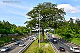 28-05-2021 Ulvenhout - Het is drukker aan het worden op de snelwegen. Onder de beroemde eik tussen de A58 bij Ulvenhout zijn weer veel auto's te zien. Veel mensen moeten naar andere steden om hun vaccinaties te laten zetten. Mensen die dat kunnen moeten nog steeds thuiswerken. - Fotokrant