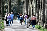 23-03-2025 Breda - Vanwege het mooie lenteweer maakte heel wat mensen een wandelingetje. - Fotokrant