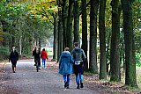 01-11-2020 Breda - Na een oproep om niet naar het bos te gaan vanwege drukte zie je als het even een uurtje droog is overal mensen die de ruimte opzoeken om te gaan wandelen.  - Fotokrant
