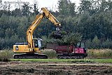 29-09-205 Breda - In natuurgebied De Vierde Bergboezem worden de struiken waar in het broedseizoen vogels in nestelen met groot materiaal van de wetlands verwijderd.   - Fotokrant