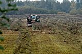 18-10-2024 Breda - Voor de tweede dag achter elkaar zijn de wetlands aan de rand van de stad kaal gemaakt. - Fotokrant