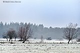 31-01-2019 Ulvenhout - Net voordat de avond valt kleuren de weilanden rond het dorp wit van de vorst. Tekenen van een koude nacht. - Fotokrant
