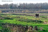 25-11-2020 Breda - Om er even uit te zijn en corona te vergeten zoeken mensen ruimte en gaan wandelen in de natuur van de Vierde Bergboezem. - Fotokrant