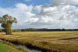 04-10-2025 Breda - Een  blauwe reiger vliegt boven de wetlands ten noorden van de stad die afgelopen week kaal gemaakt zijn.  - Fotokrant