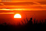 18-07-2022 Breda -  Een man kijkt naar de prachtige zonsondergang vanuit het veld aan de rand van de Haagse Beemden.  - Fotokrant