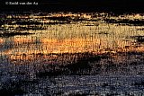 28-10-2023 Breda - Zonsondergang weerspiegelt in een met regenwater  ondergelopen veld ten noorden van de stad. - Fotokrant